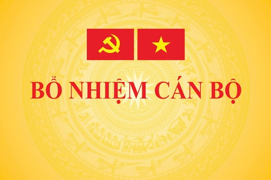 Ông Trịnh Mạnh Linh được bổ nhiệm Phó Chủ nhiệm Văn phòng Chính phủ