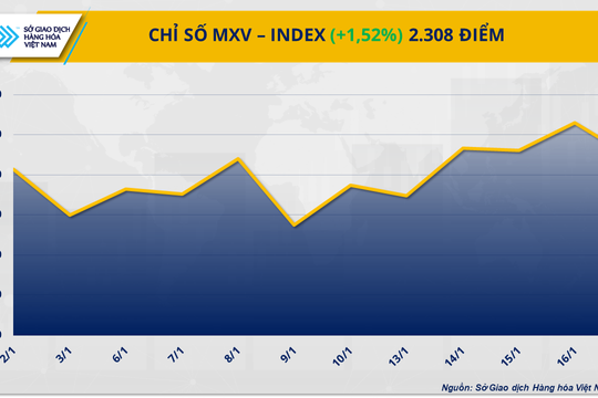 Sắc xanh áp đảo, MXV-Index nằm trên mốc 2.300 điểm