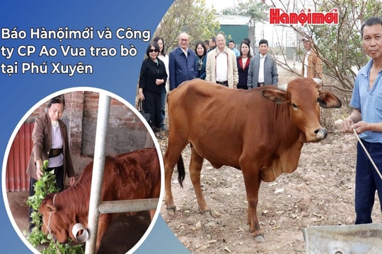 Báo Hànộimới, Công ty cổ phần Ao Vua hỗ trợ bò sinh sản cho hộ khó khăn tại Phú Xuyên