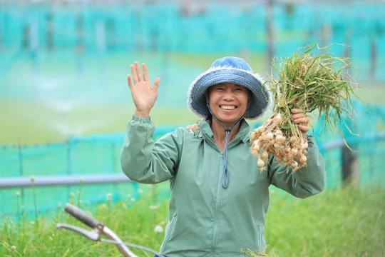 Nam Ngư cùng nông dân đảo Lý Sơn phát triển kinh tế địa phương