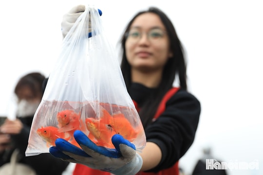 Người dân thả cá chép văn minh tiễn Táo quân về trời