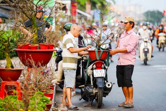 Sôi động các chợ hoa Tết ở TP Hồ Chí Minh