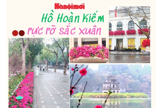 Hồ Hoàn Kiếm rực rỡ sắc xuân chào đón Tết Nguyên đán