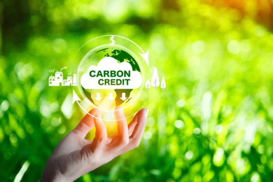 Thủ tướng phê duyệt Đề án thành lập và phát triển thị trường carbon tại Việt Nam