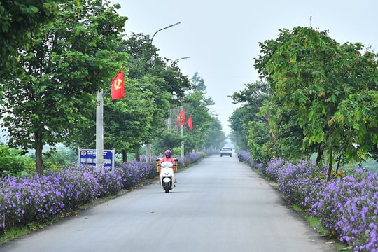 Ba Vì hướng tới mục tiêu phát triển cao hơn, toàn diện hơn