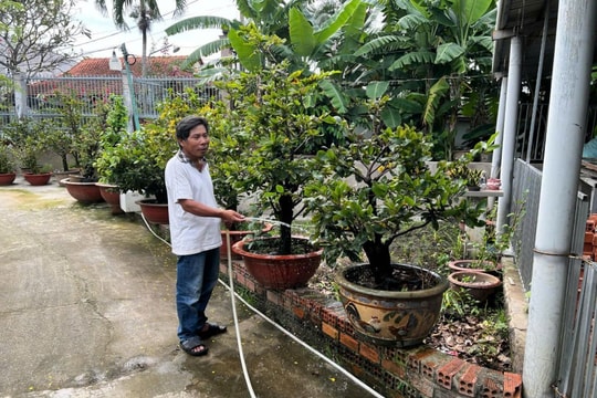 Tết này đã hết nghèo