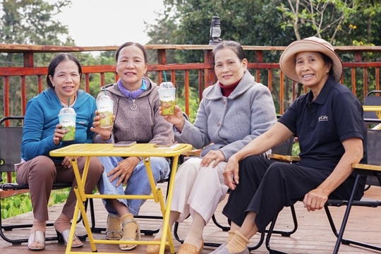 Trải nghiệm Si Farmstay từ nông trại đến những ly cà phê thơm ngon