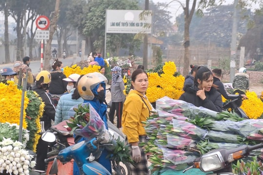 Thủ phủ hoa Tây Tựu tất bật ngày cận Tết