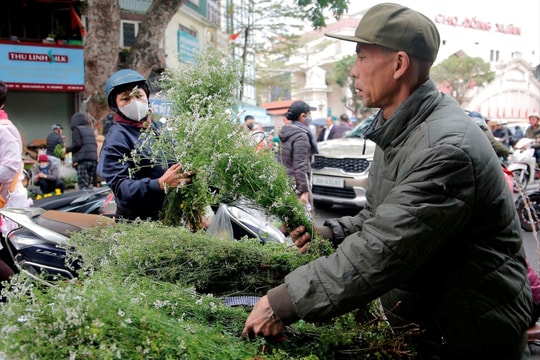 Chợ Tết phố cổ Hà Nội ngày cuối năm