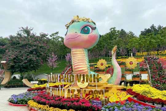 Linh vật rắn ở Nghệ An thu hút sự quan tâm của người dân