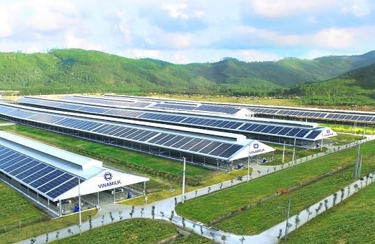 Doanh nghiệp Việt hướng tới sản xuất xanh: Nâng cao thương hiệu, thu hút thêm khách hàng