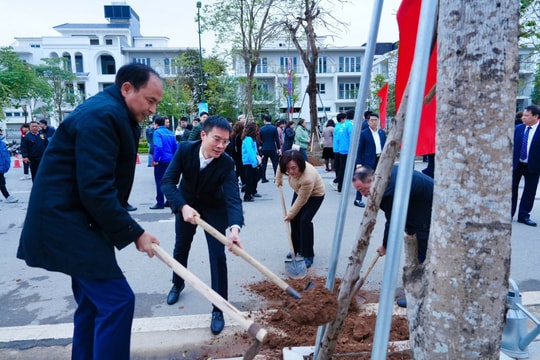 Quận Tây Hồ: Kêu gọi các tầng lớp nhân dân hưởng ứng Tết trồng cây