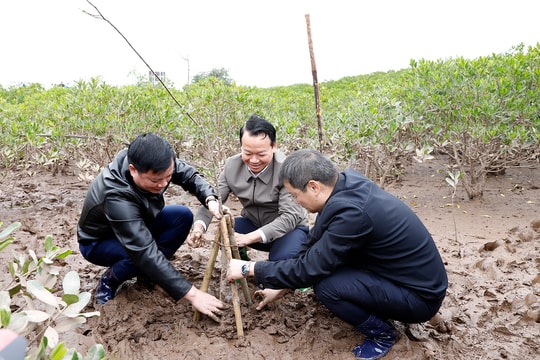 Bộ Tài nguyên và Môi trường phát động Tết trồng cây đời đời nhớ ơn Bác Hồ