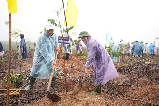 TP Huế phát động Tết trồng cây “Đời đời nhớ ơn Bác Hồ”