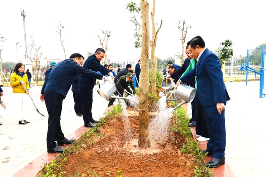 Tết trồng cây 2025: Góp thêm màu xanh cho huyện Ba Vì