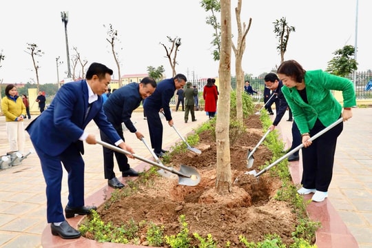 Hội Nông dân thành phố phấn đấu trồng mới 30.000 cây xanh