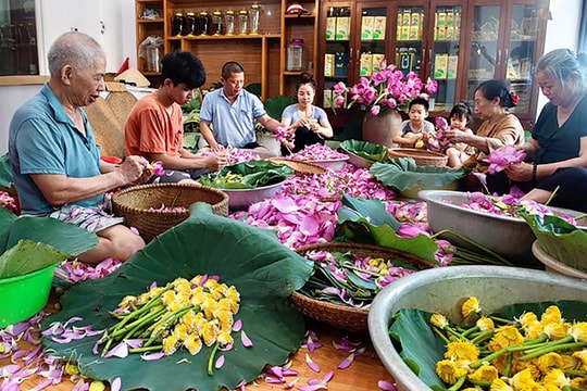 Đầu năm thưởng trà sen Bách Diệp