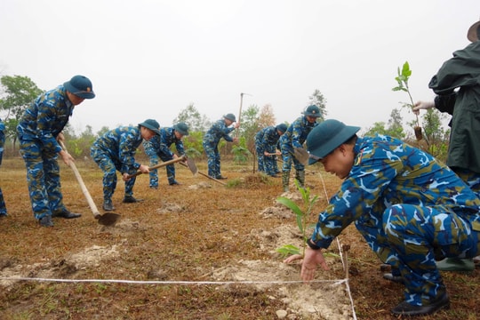 Sư đoàn 371 trồng hơn 10.000 cây xanh đầu năm mới