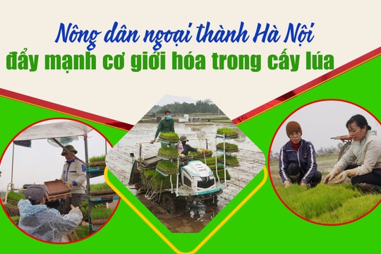 Cấy máy, làm mạ khay giúp nông dân Hà Nội “nhẹ gánh” vụ xuân