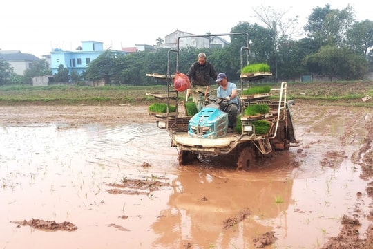 Theo dõi diễn biến dòng chảy, đảm bảo lấy nước gieo cấy vụ Xuân