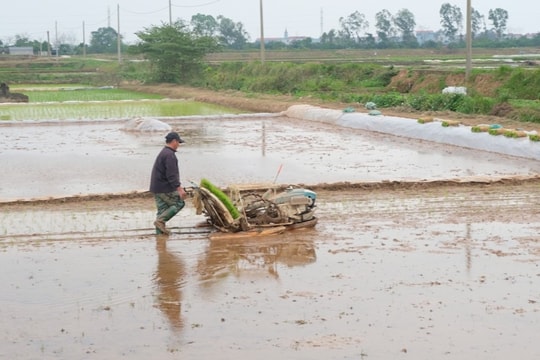 Điều chỉnh thời gian lấy nước vụ Xuân tại 11 tỉnh thành Bắc Bộ
