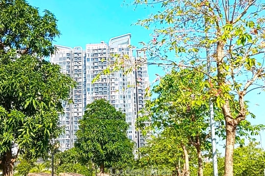 Bất động sản giảm nhiệt chứ chưa giảm giá