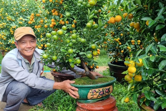 Sử dụng địa danh “Vạn Phúc - Thanh Trì” để đăng ký 2 nhãn hiệu tập thể