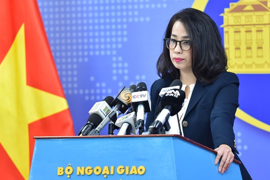 Phản ứng của Việt Nam về việc ngưng các dự án hỗ trợ của Cơ quan phát triển quốc tế Hoa Kỳ