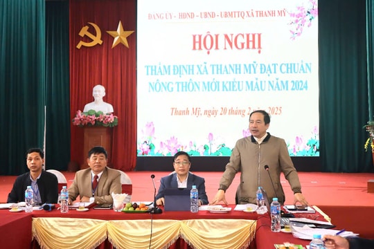 Xã Thanh Mỹ đạt chuẩn nông thôn mới kiểu mẫu trên 4 lĩnh vực