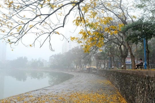 Bí quyết hạn chế nồm ẩm