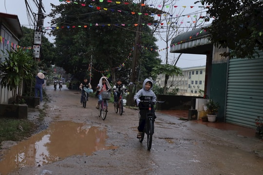 Chương Mỹ khởi công đê tả Bùi, hữu Đáy trong quý III-2025