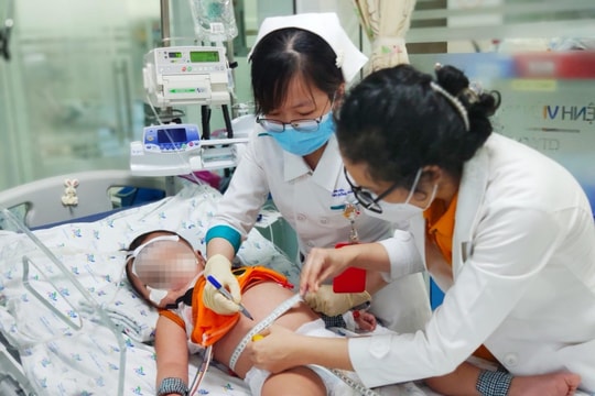TP Hồ Chí Minh Nguy cơ bùng phát dịch sốt xuất huyết sớm, cần cảnh giác cao độ