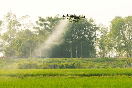 Đưa chuyển đổi số vào sản xuất lúa gạo: Tiết kiệm chi phí, tăng năng suất và giá trị