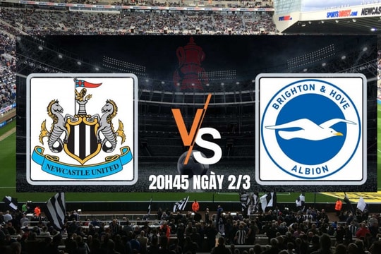 Newcastle vs Brighton, vòng 5 cúp FA 2024/25: Tận dụng sân nhà, tạo ra khác biệt