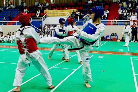 Làm gì để Taekwondo Hà Nội duy trì vị thế, nâng tầm trình độ