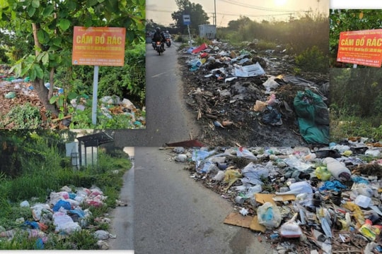 TP Hồ Chí Minh TP Thủ Đức dẫn đầu số điểm rác thải tự phát gây ô nhiễm