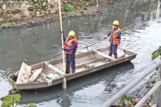 Những bông hoa lặng lẽ tỏa hương