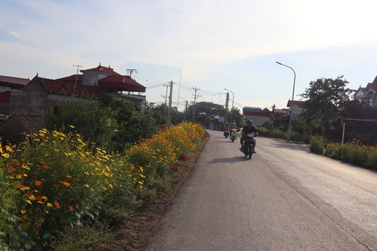 Hà Nội phê duyệt phương án, vị trí tuyến đường từ đê Tiên Tân đến Trường Mầm non Đan Phượng