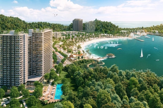 Xanh Sky - căn hộ Sungroup giao thoa sắc màu thiên nhiên và kiến trúc hiện đại ở Cát Bà