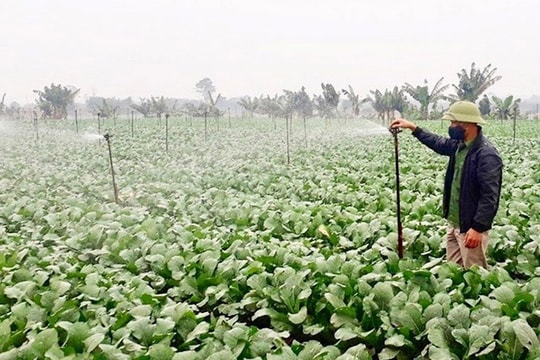 Chủ động phòng chống dịch bệnh vụ xuân