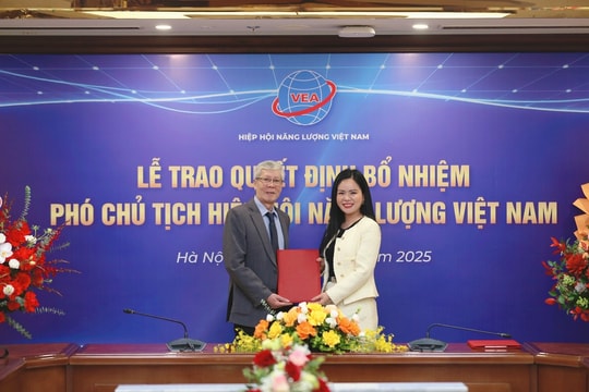 Lãnh đạo cấp cao T&T Group làm Phó Chủ tịch Hiệp hội Năng lượng Việt Nam