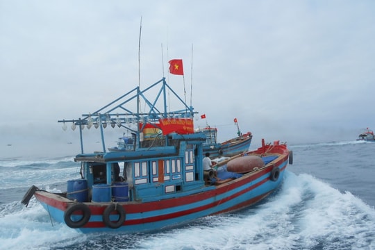 Bình Định: Cấm biển đối với tàu cá "3 không"