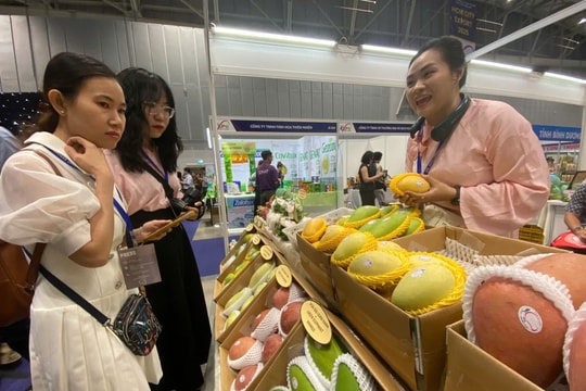TP.HCM: Gần 200 doanh nghiệp lớn thế giới tham gia Hội chợ Hàng Việt Nam tiêu biểu xuất khẩu năm 2025