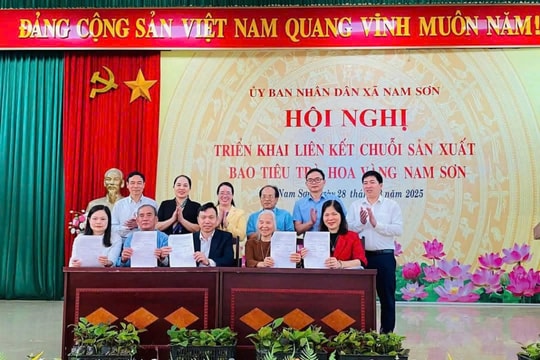 Đẩy mạnh liên kết xây dựng chuỗi sản xuất trà hoa vàng Nam Sơn