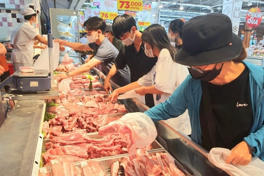 Phó Thủ tướng Trần Hồng Hà chỉ đạo xử lý thông tin báo chí phản ánh giá lợn hơi tăng cao
