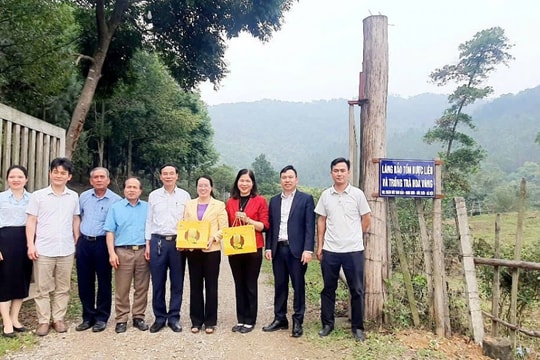 Nông dân Thủ đô đẩy mạnh xây dựng chuỗi sản xuất trà hoa vàng
