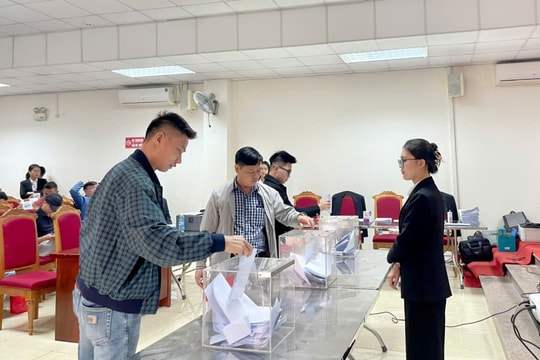 Đấu giá đất tại Mê Linh không có sự đột biến nhưng vẫn thu hơn 120 tỷ đồng