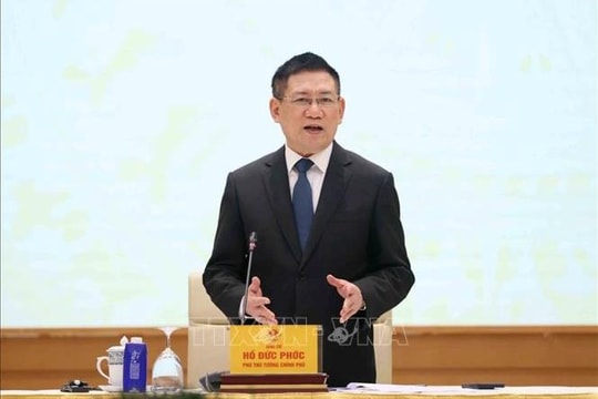 Phó Thủ tướng Hồ Đức Phớc: Chính phủ Việt Nam đề nghị Hoa Kỳ cân nhắc tạm hoãn áp thuế từ 1-3 tháng để đàm phán