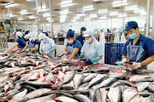 Xuất khẩu thủy sản 3 tháng đầu năm 2025 đạt 2,29 tỷ USD