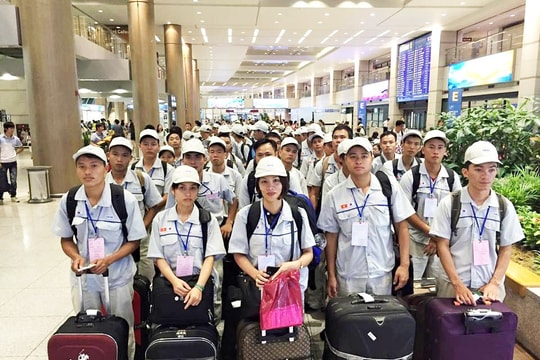 Tuyển lao động sang Hàn Quốc làm việc trong ngành công nghiệp gốc